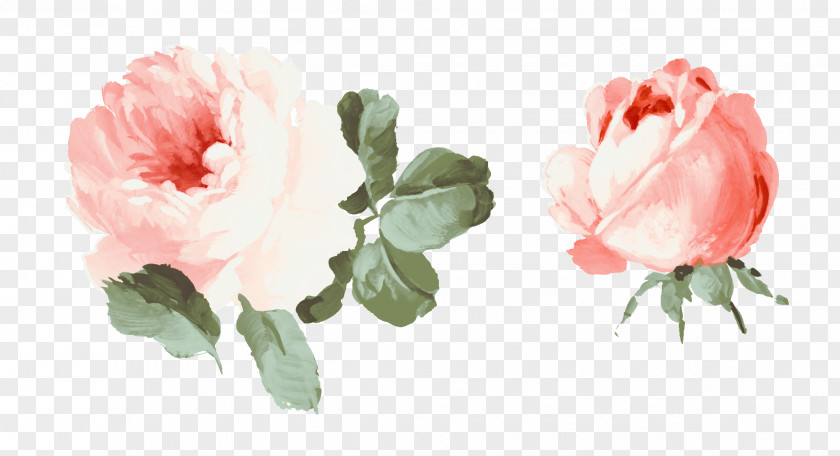 Pink Roses Cut Flowers Gouache Beach Rose PNG