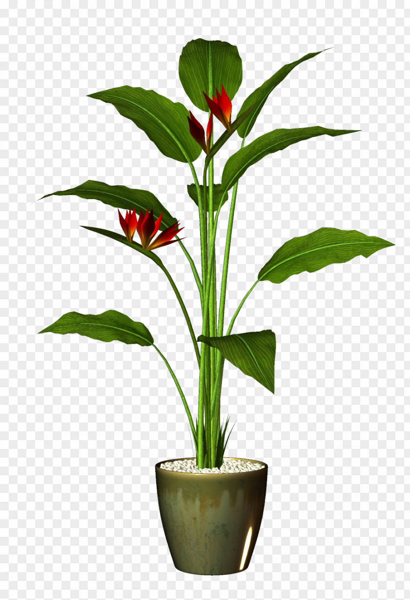 Pot Plant Flowerpot Houseplant Clip Art PNG