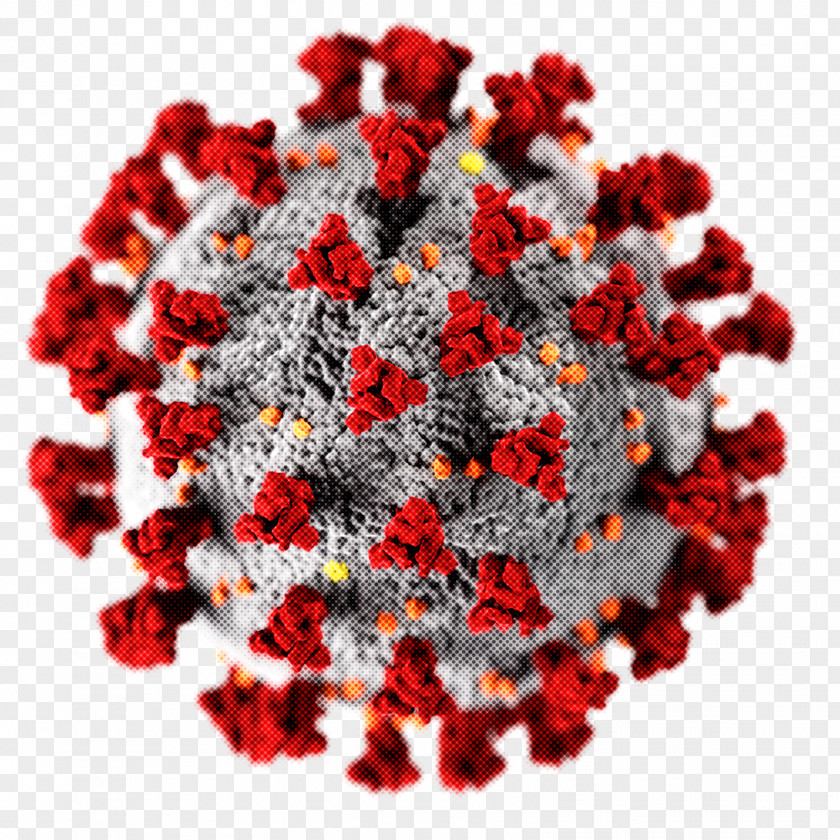 2019–20 Coronavirus Pandemic Covid-19 Testing Disease 2019 West Virginia PNG