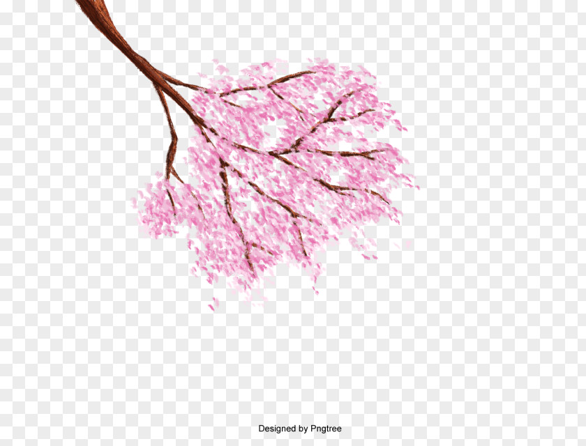 Cherry Blossom Resource PNG