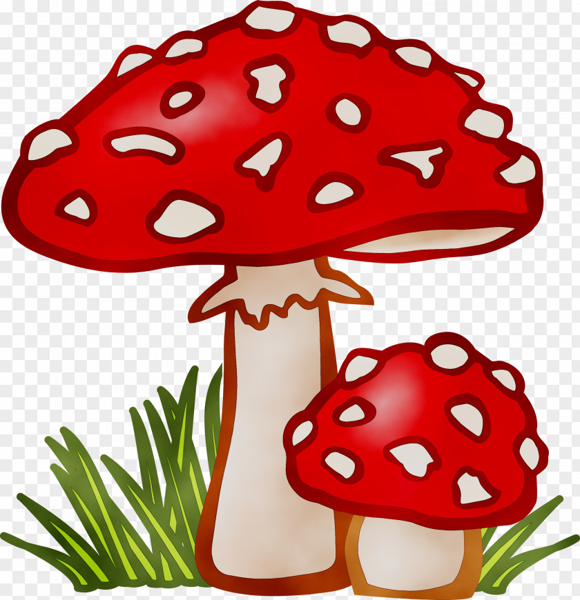 Clip Art Common Mushroom Vector Graphics Fungus PNG