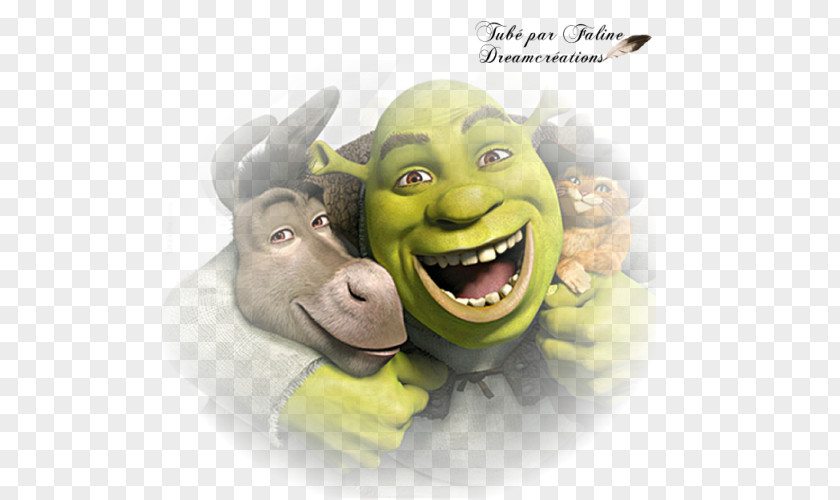 Donkey Puss In Boots Shrek The Musical Princess Fiona PNG