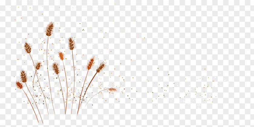 Hand Painted Yellow Wheat Grain Wandering Desktop Wallpaper PNG