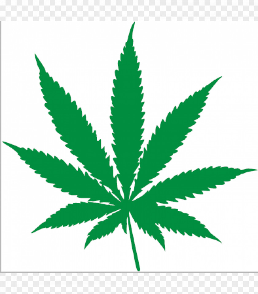 Cannabis Ruderalis Hemp Leaf Sativa PNG