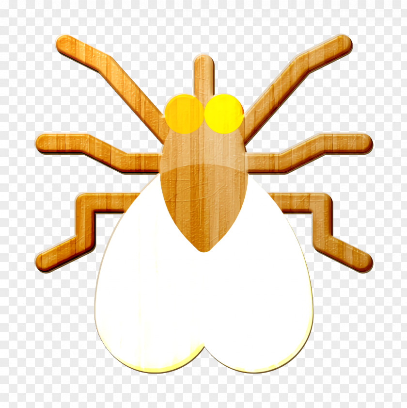 Insects Icon Insect Fly PNG