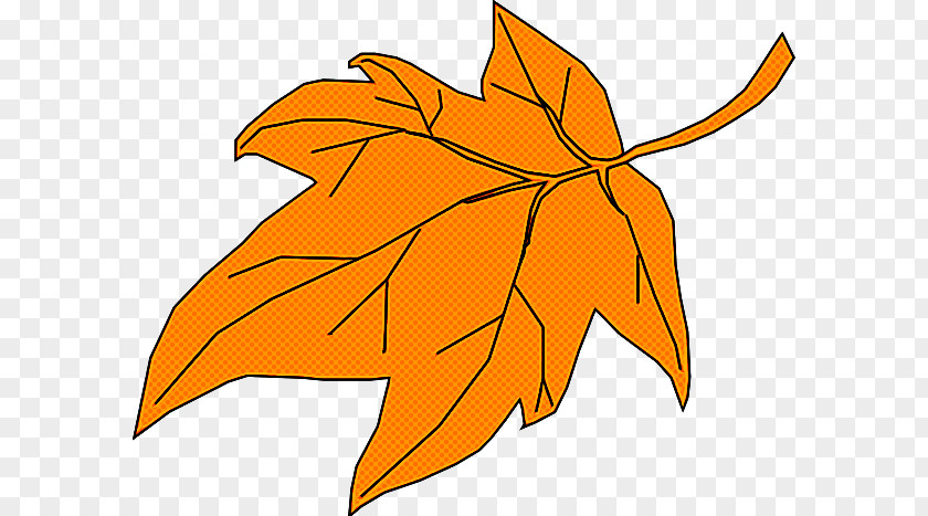 Deciduous Maple Leaf PNG