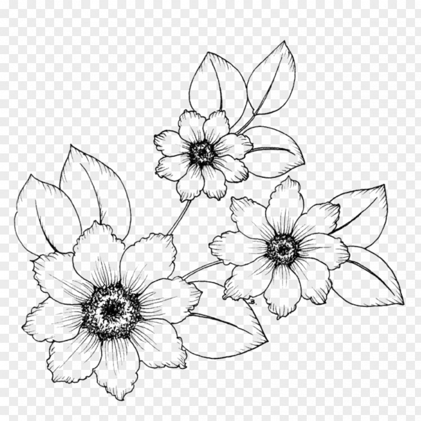 Flower Drawing Coloring Book Embroidery Image PNG