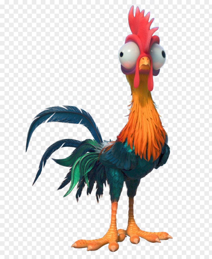 Hei The Rooster Walt Disney Company PNG