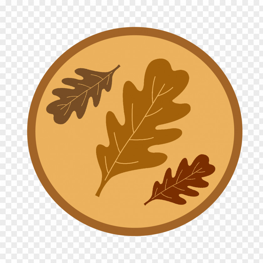 Leaf Font PNG