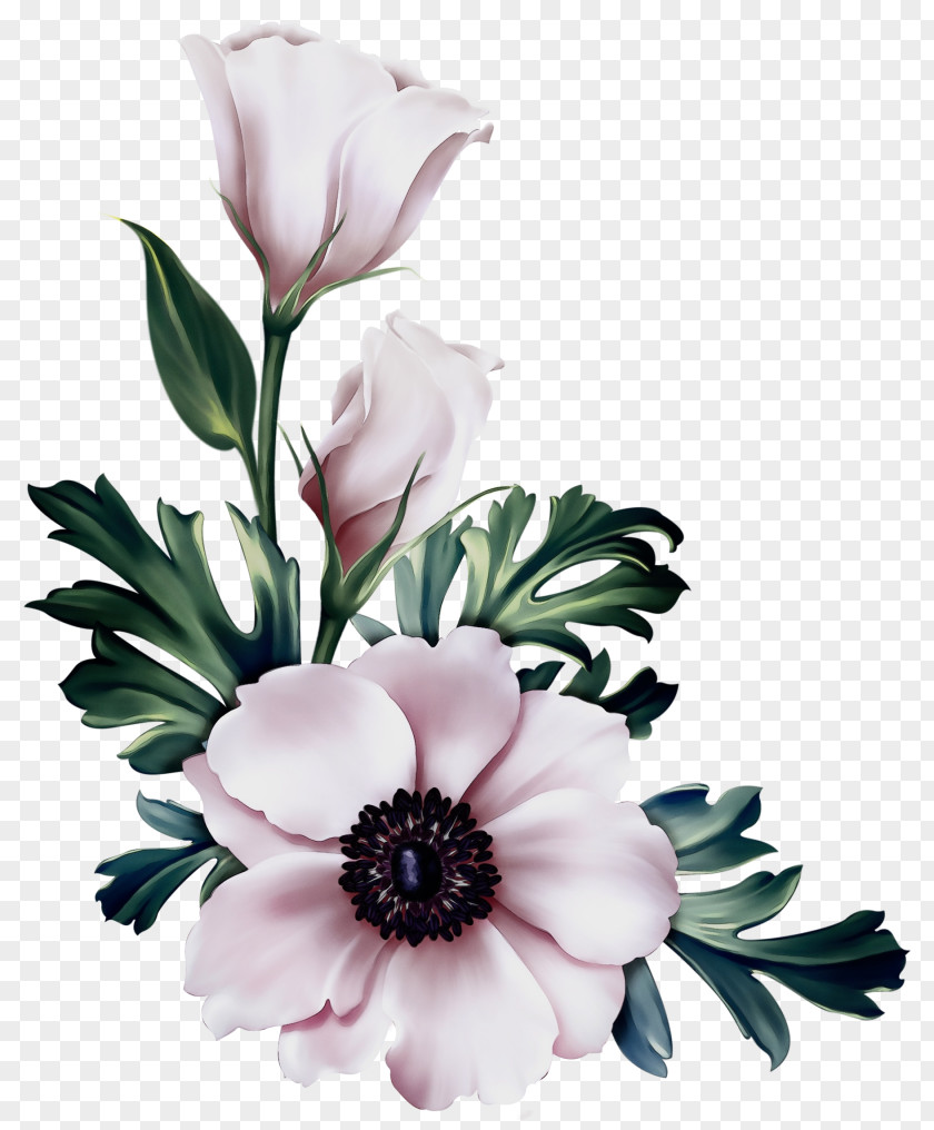 Magnolia Family Wildflower Bouquet Of Flowers Drawing PNG