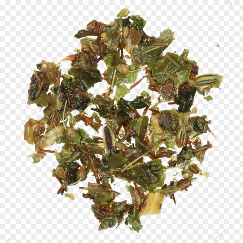 Tree Leaf Vegetable Herb PNG