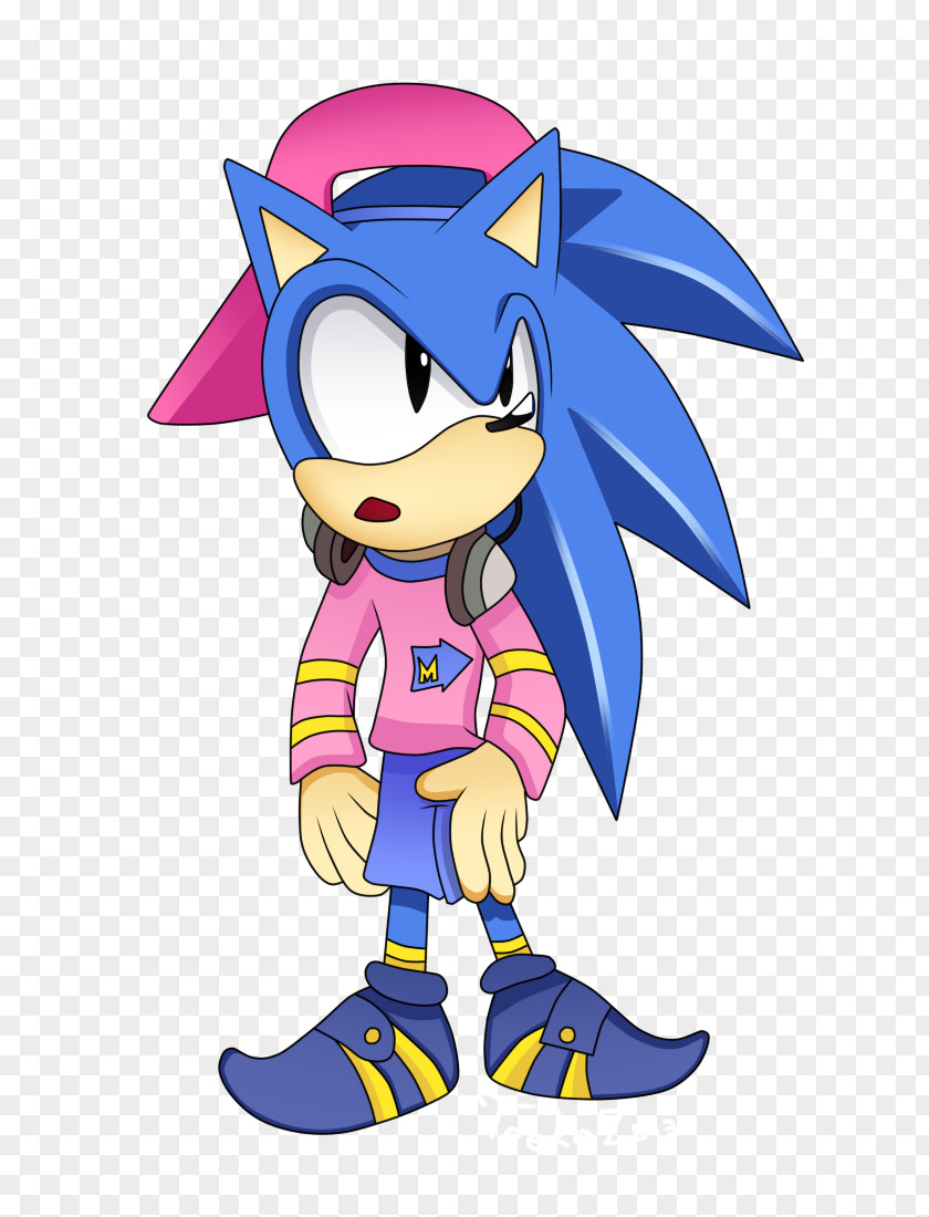 Bruce Lee SegaSonic The Hedgehog Sonic Adventure Amy Rose Old Man Owl PNG