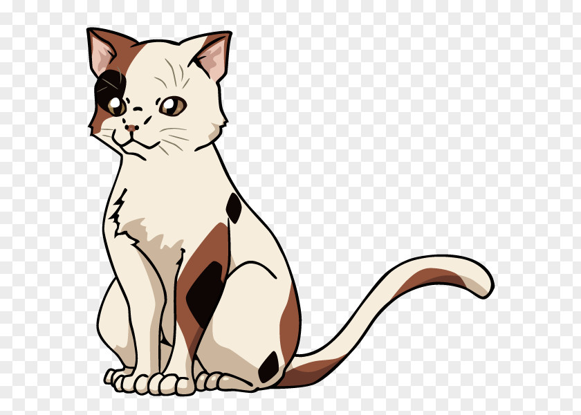 Cat Whiskers Haruhi Suzumiya Kitten Kyon PNG