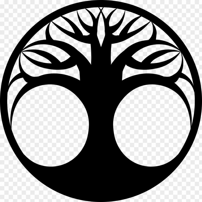 Gift Of Eternal Life Drawing Tree Clip Art PNG
