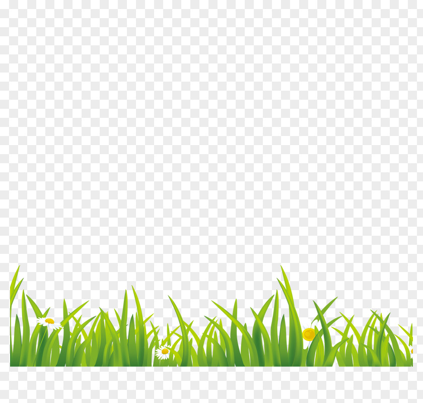 Grass Green Gratis Euclidean Vector PNG