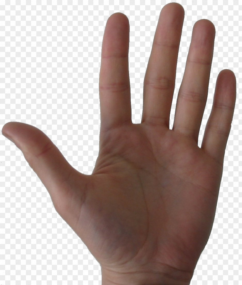 Hand Thumb Digit Little Finger PNG