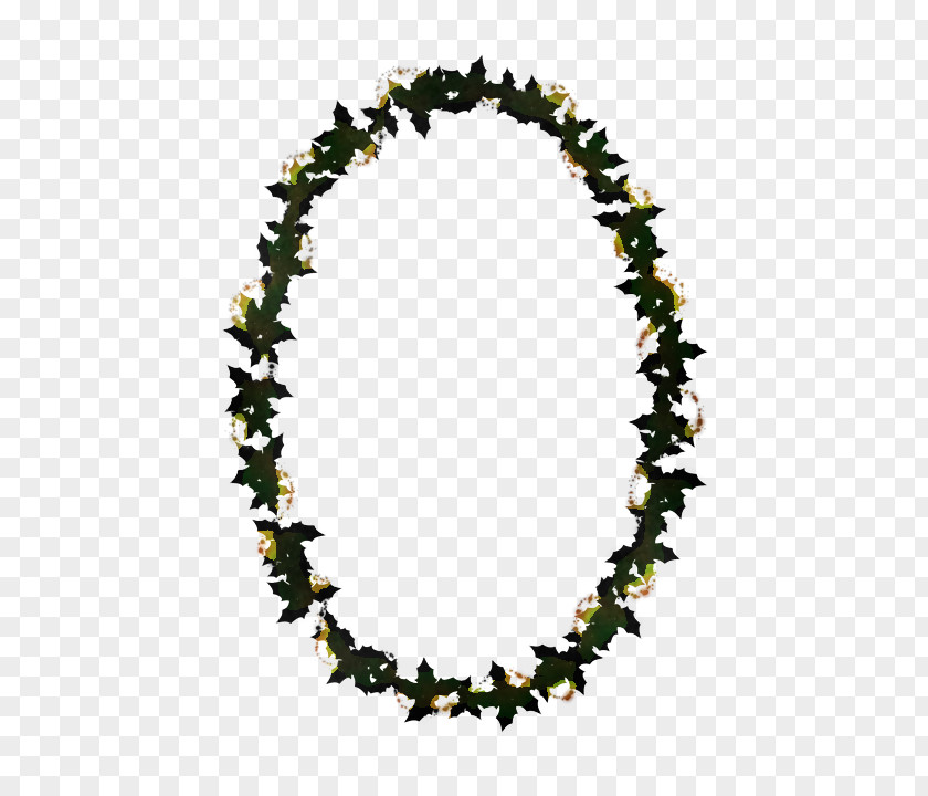 Jewellery Necklace Lei PNG