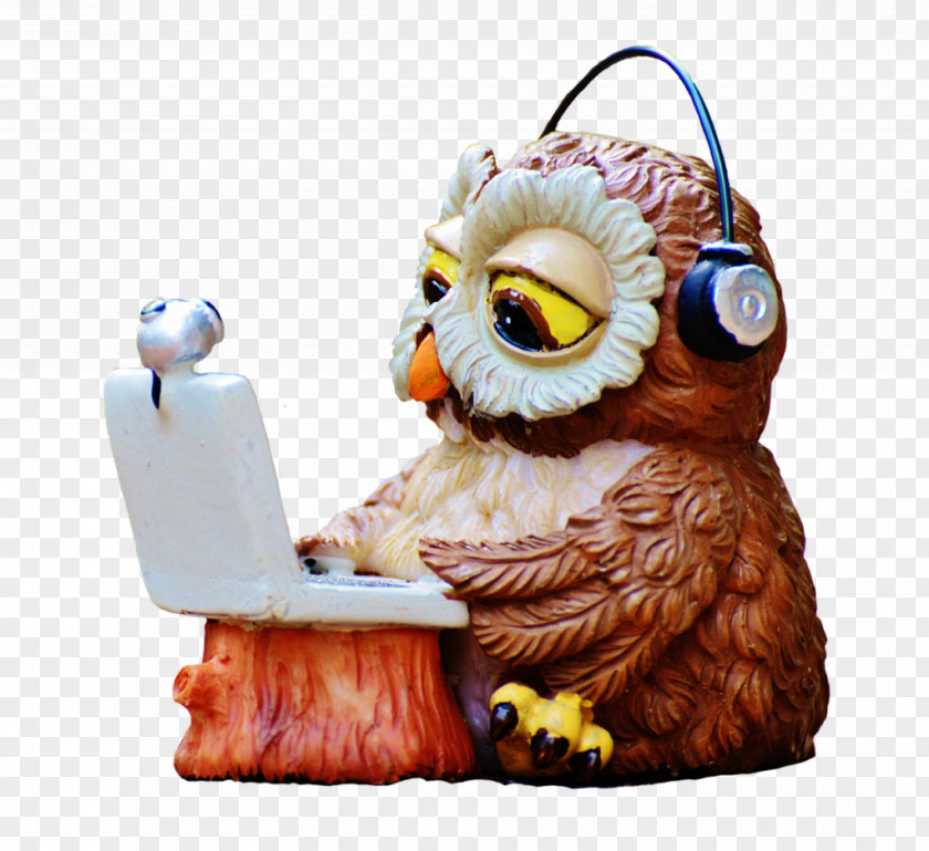 Owl Image Laptop Bird Download PNG