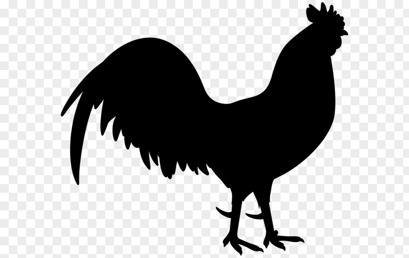 Rooster World Clip Art Silhouette Fauna PNG
