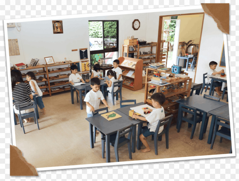 School Cherrybrook Kindergarten Education Nursery PNG