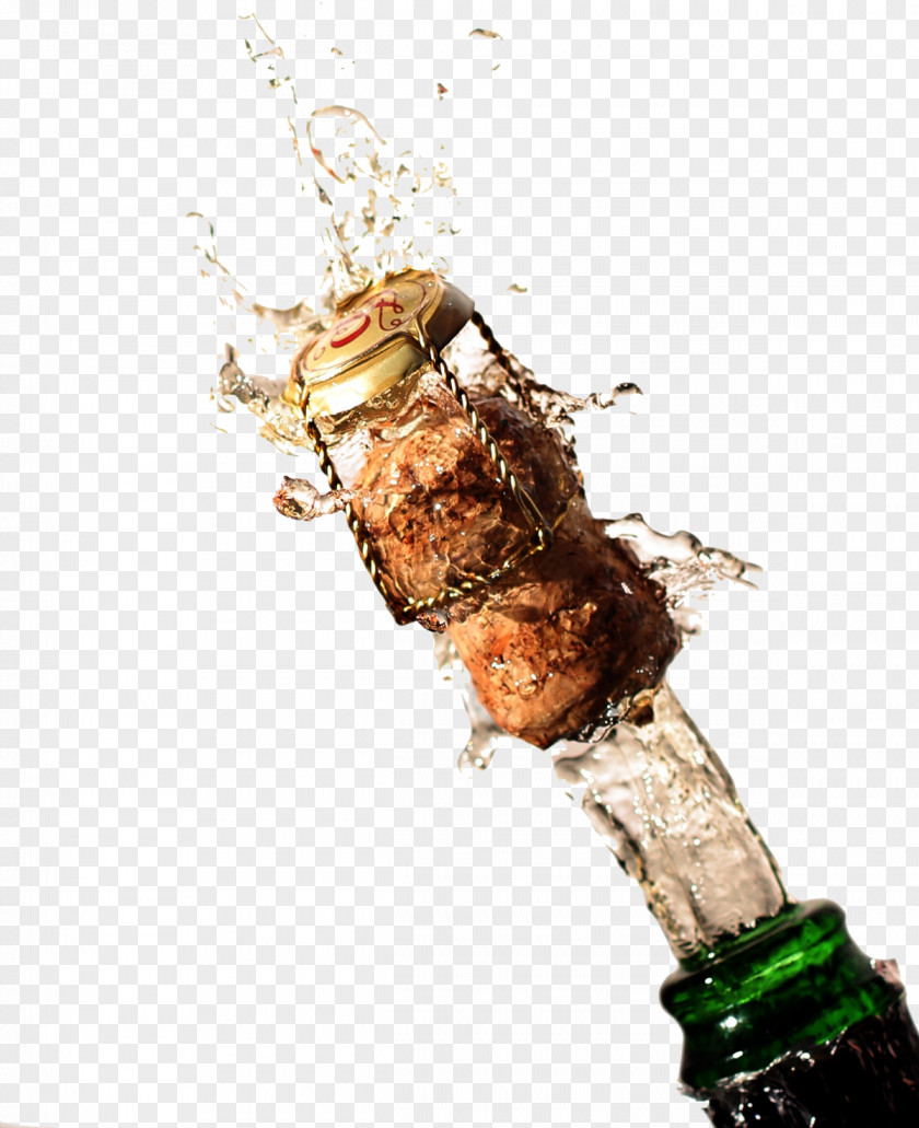 Champagne Bottle Wine Cork Bung PNG