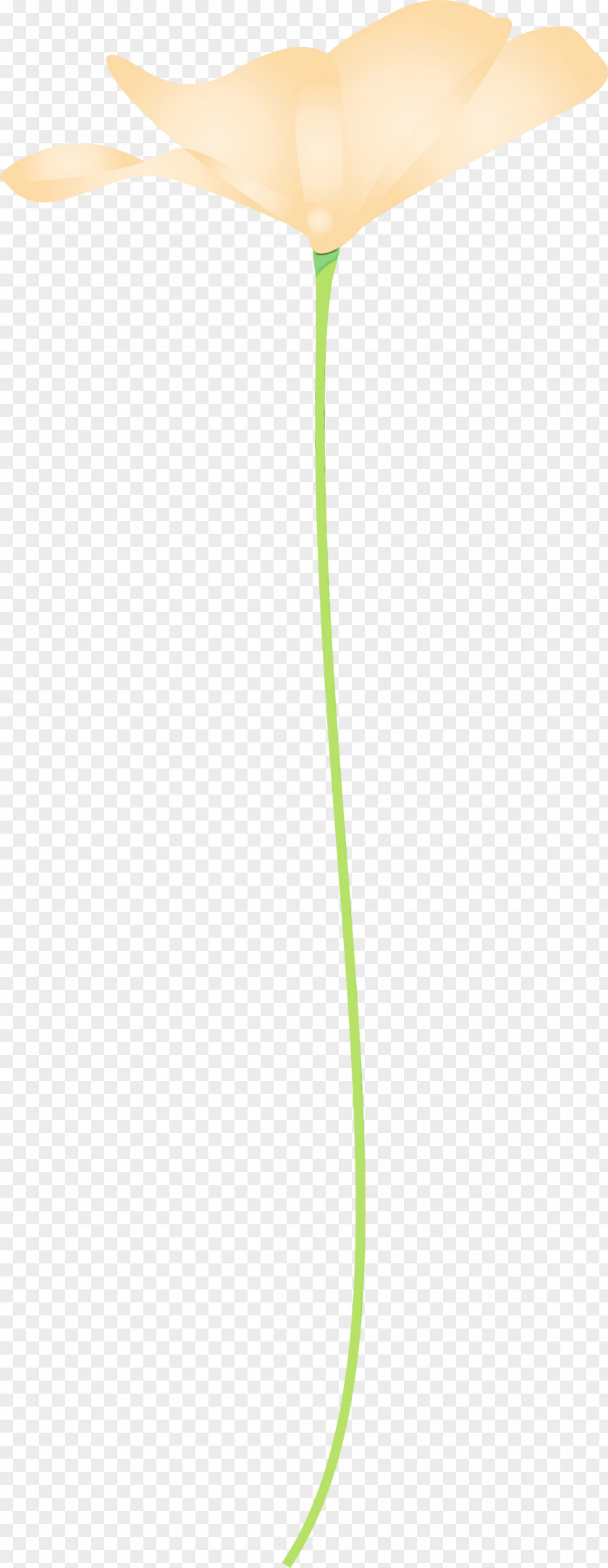 Green Plant Stem PNG