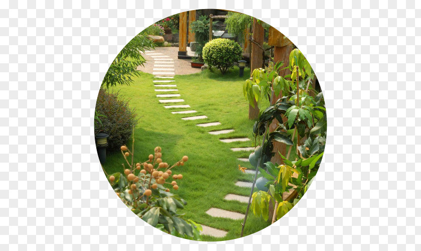 Landscape Contractor Landscaping Design Backyard Gardening PNG