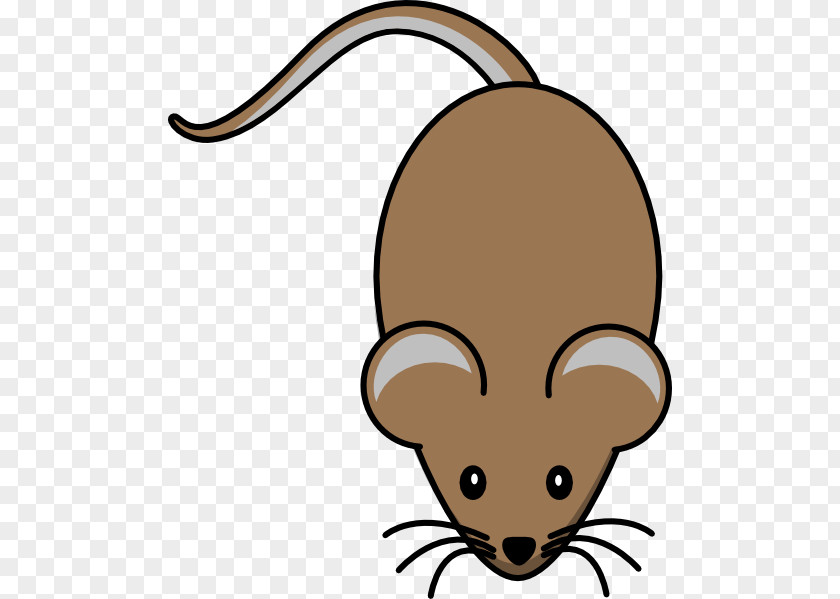 Mouse Computer Laboratory Rat Mickey Clip Art PNG