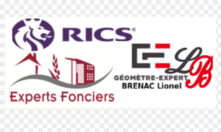 Royal Institution Of Chartered Surveyors Cabinet Lionel Brenac Expert Real Estate Property Foncier PNG