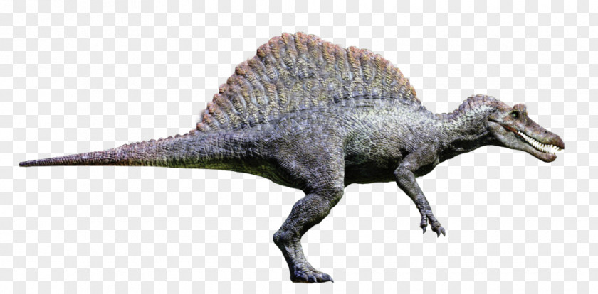 Vector 3d Illusion Led Spinosaurus Tyrannosaurus Velociraptor Giganotosaurus Jurassic Park: Operation Genesis PNG