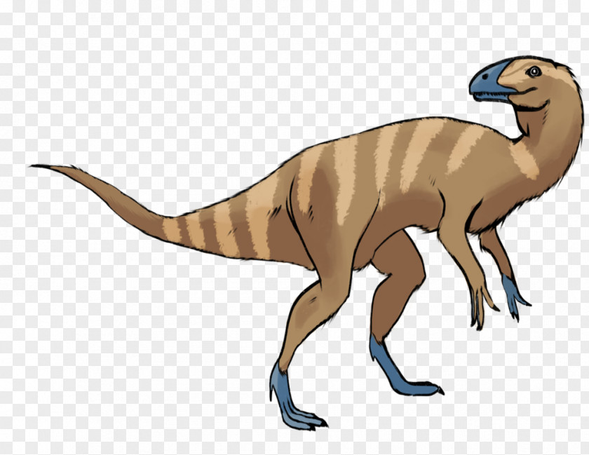 Velociraptor Eoraptor Lunensis Saurischia Drawing Animal PNG