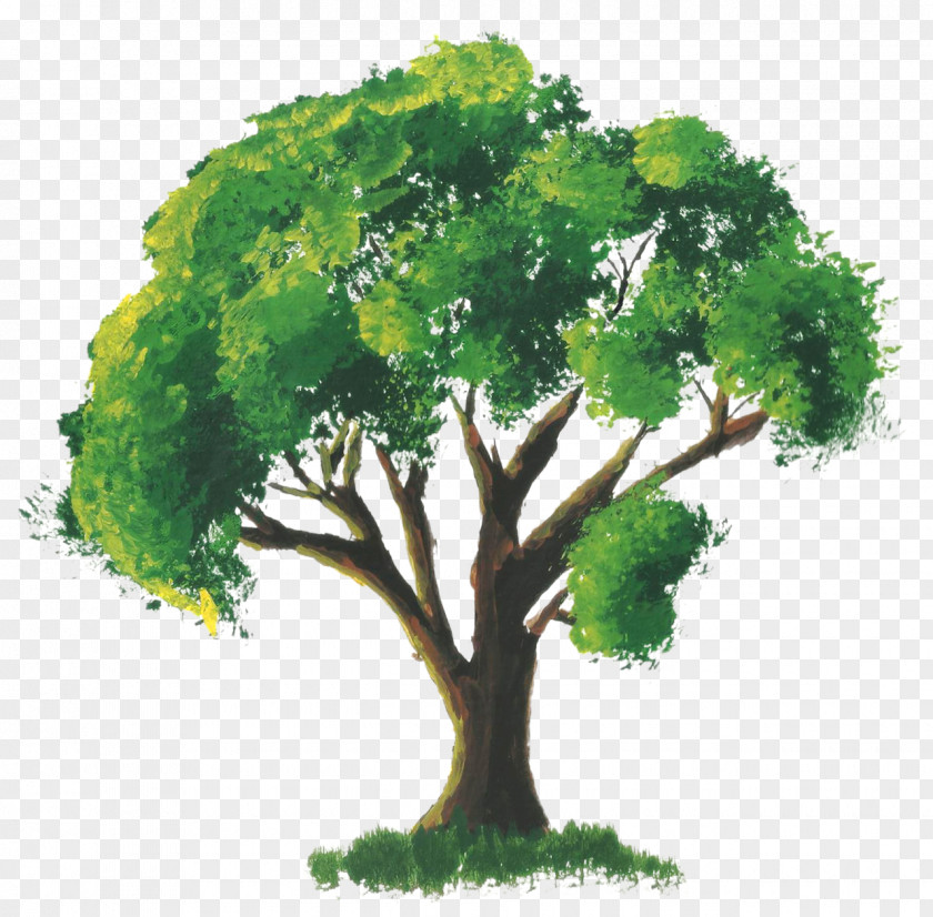 Watercolor Tree Painting Room PNG