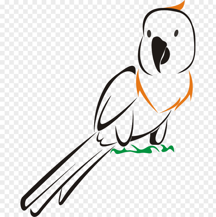 Bird Beak Logo Clip Art PNG