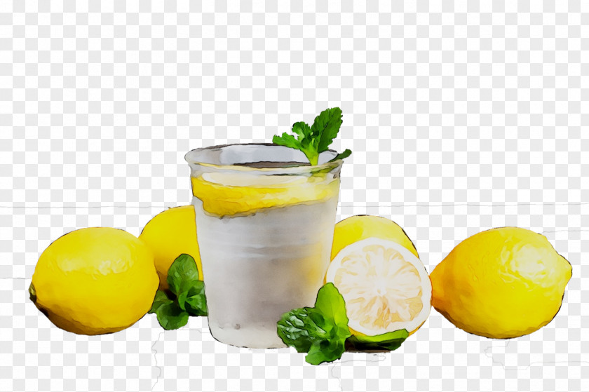 Lemonade Cocktail Garnish Limeade PNG