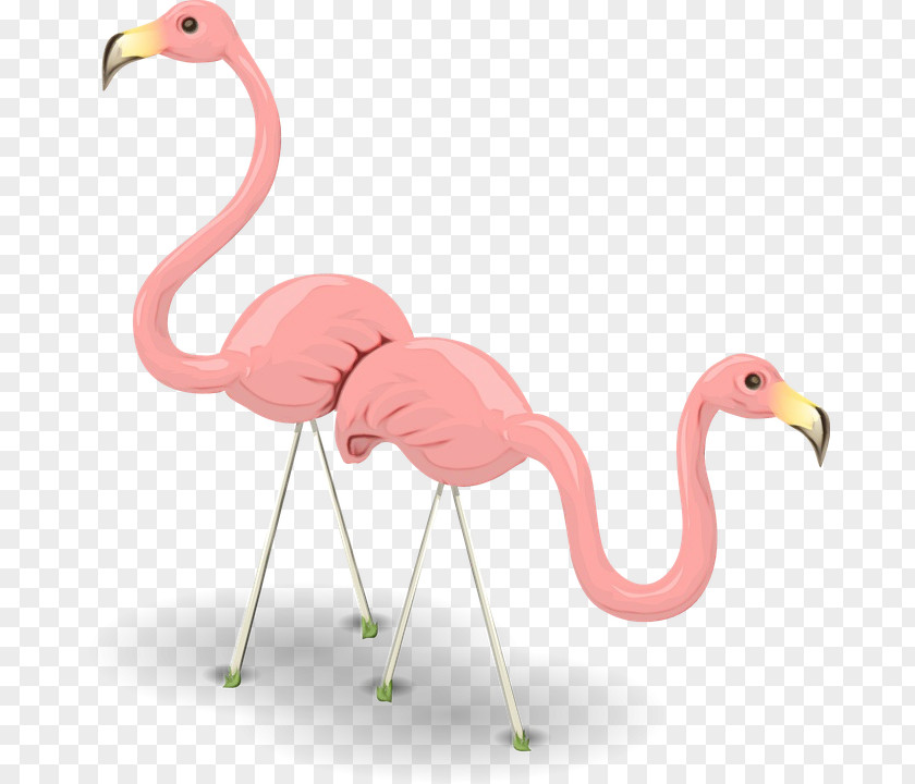 Neck Animal Figure Flamingo PNG