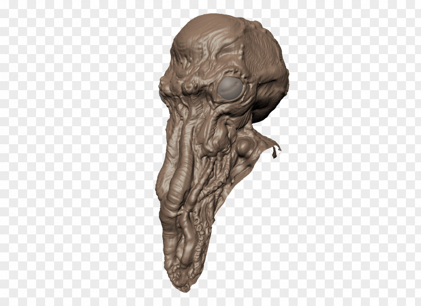 Skull Bone Jaw PNG