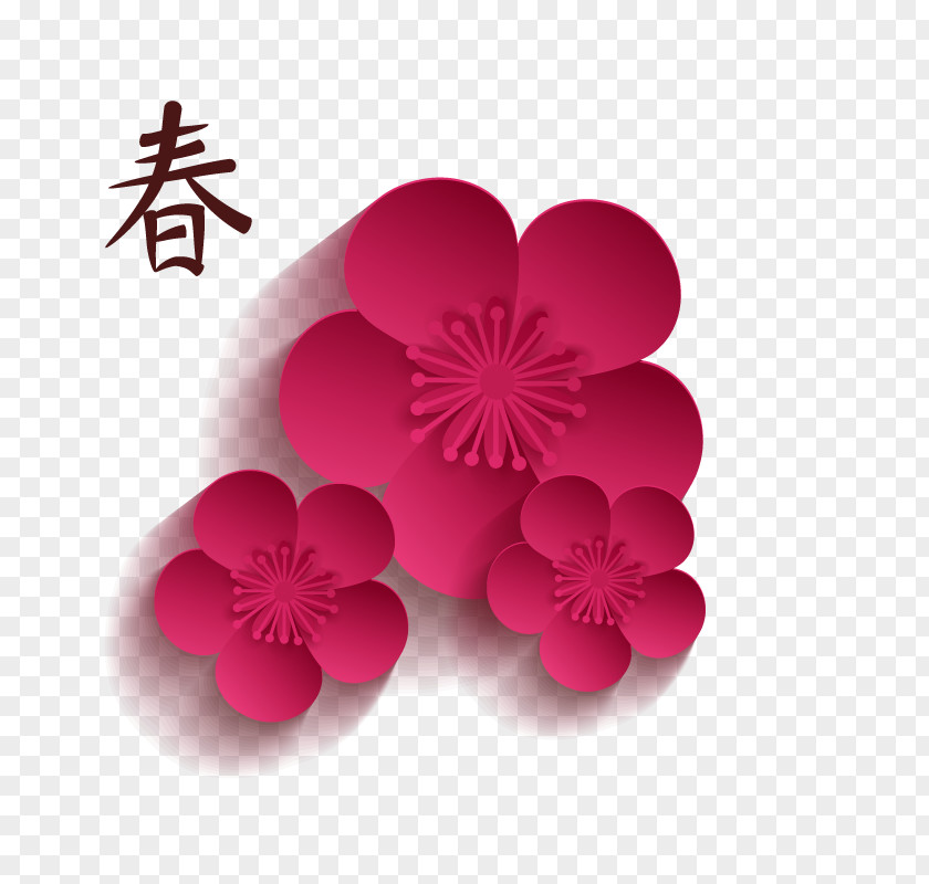 Vector Cherry Blossom Euclidean PNG