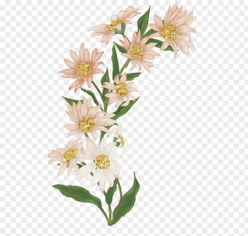 Flower Cut Flowers Image Clip Art PNG