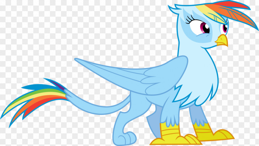 Griffin Rainbow Dash Pony Rarity PNG