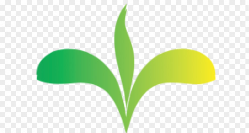 Logo Leaf Font Green Product PNG