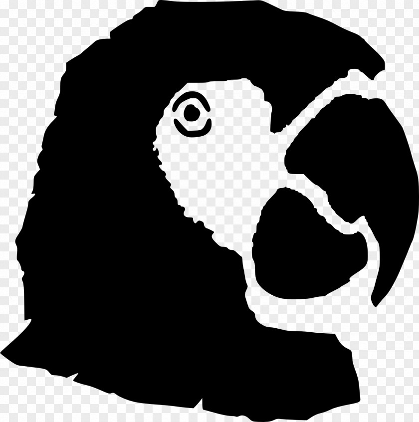Parrot Stencil Schablone Art Clip PNG
