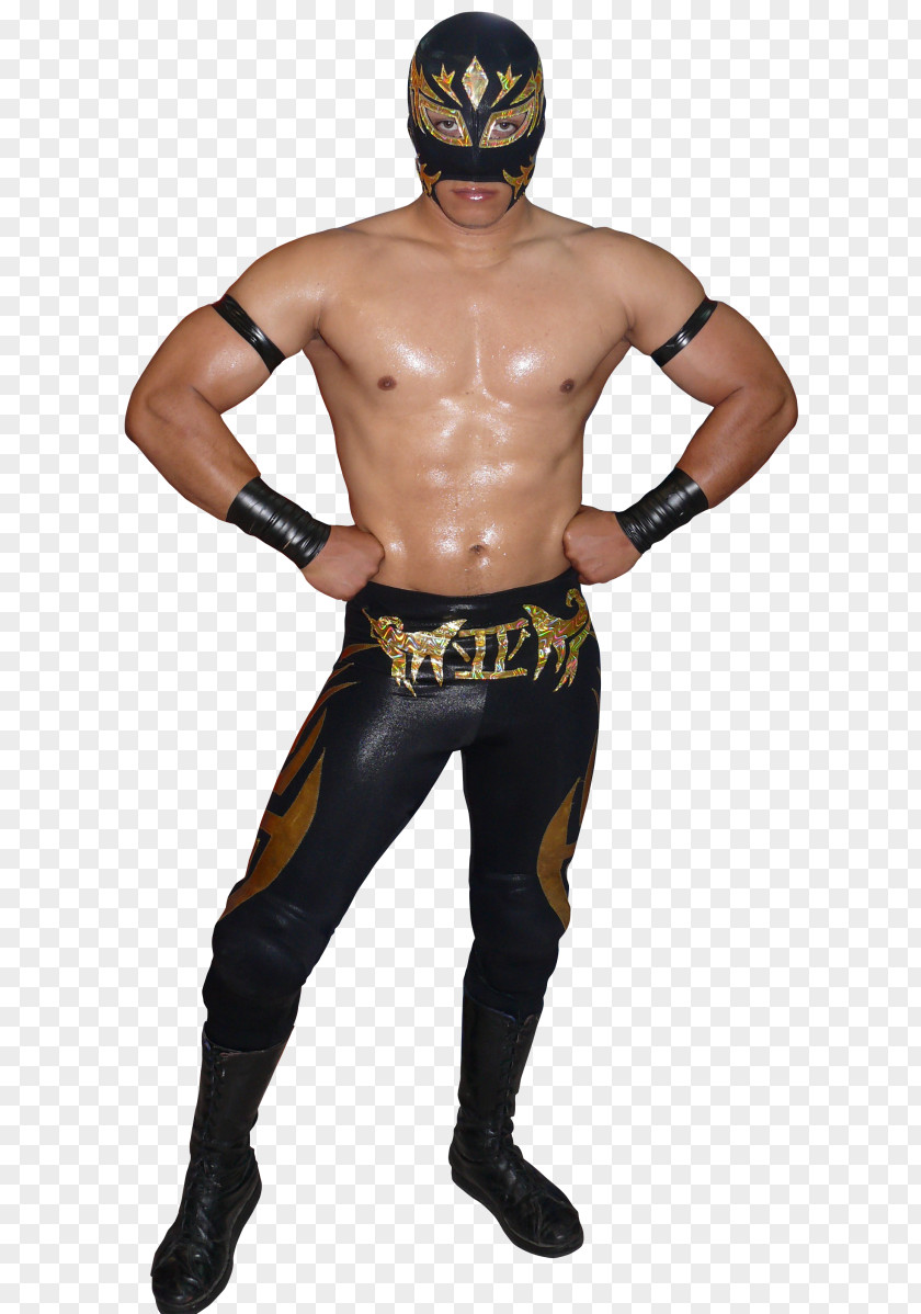 Professional Wrestler Character Costume Fiction PNG