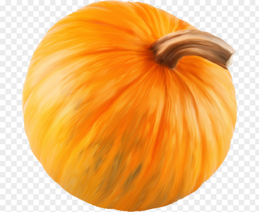 Pumpkin Calabaza Winter Squash Gourd PNG