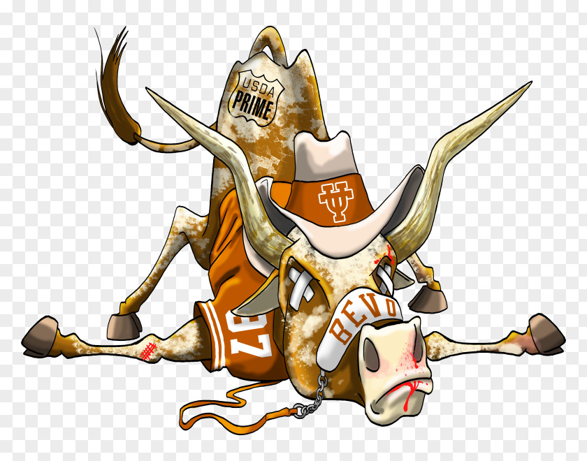 Texas Longhorn Longhorns Football Cartoon Mascot PNG