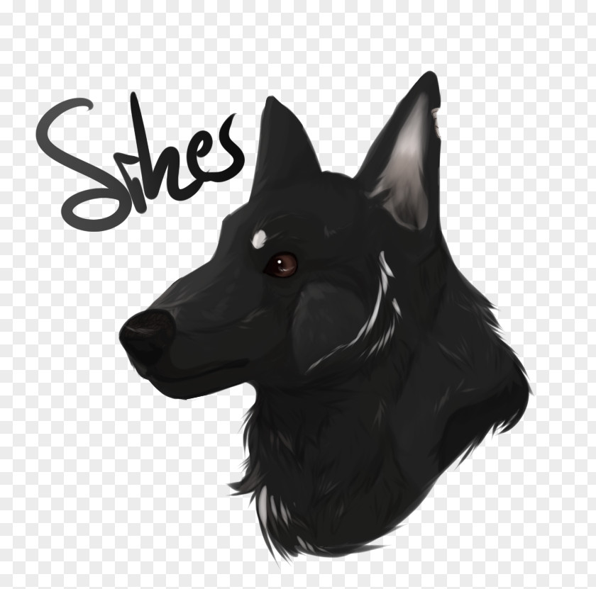 Tipping Scottish Terrier Schipperke Dog Breed Scotland PNG