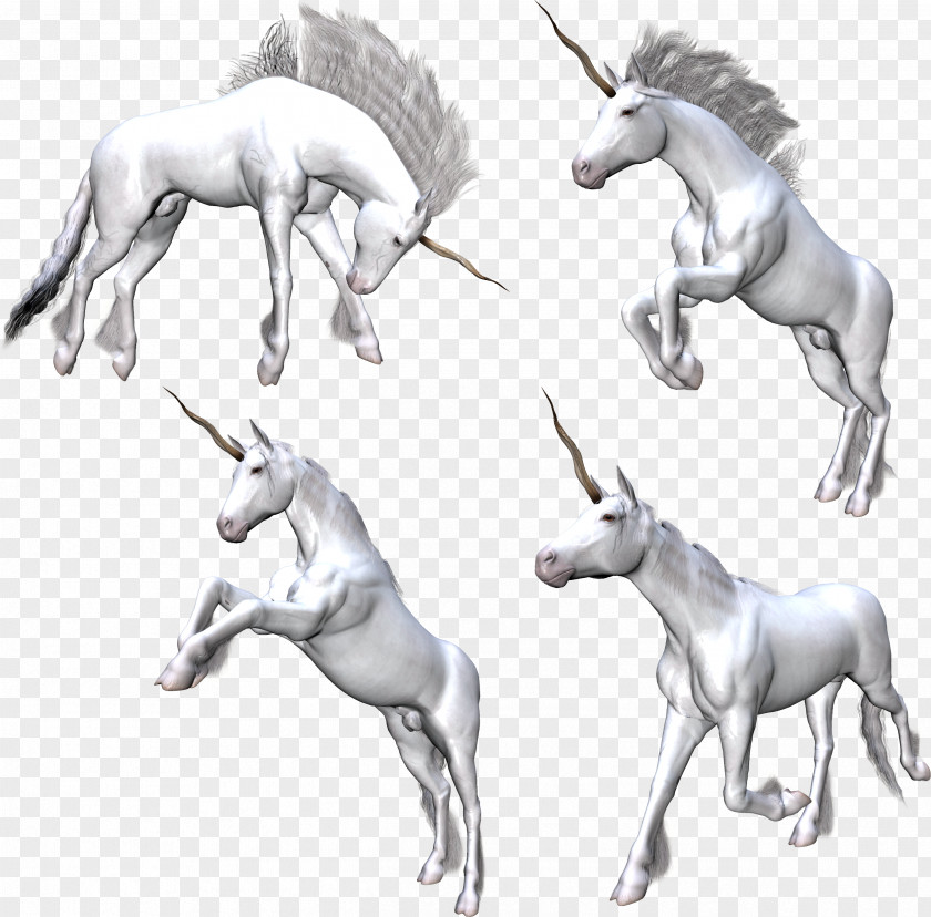 Unicorn Fantasy Pegasus Rusalka Clip Art PNG