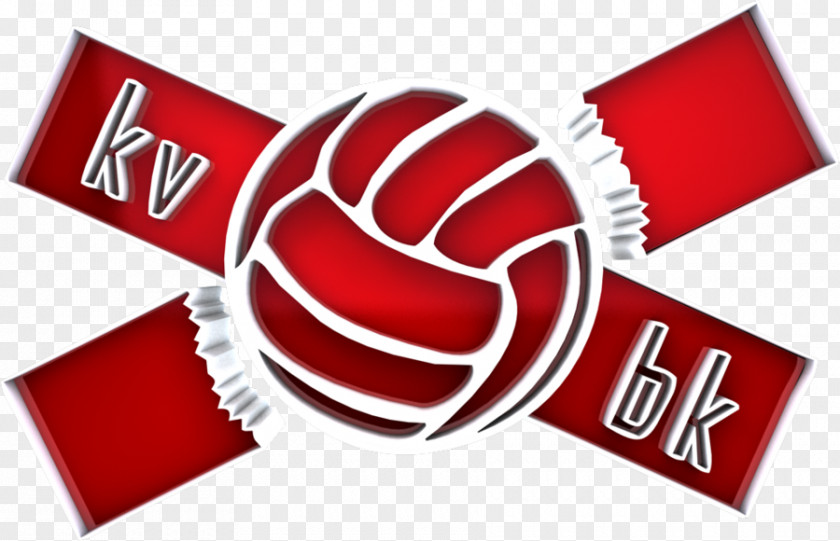 Volleyball Palestra Olme (Volley Mogliano) Clip Art Sports Sticker PNG