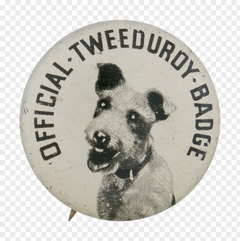 Beavers Badge Dog Museum Button Collar PNG