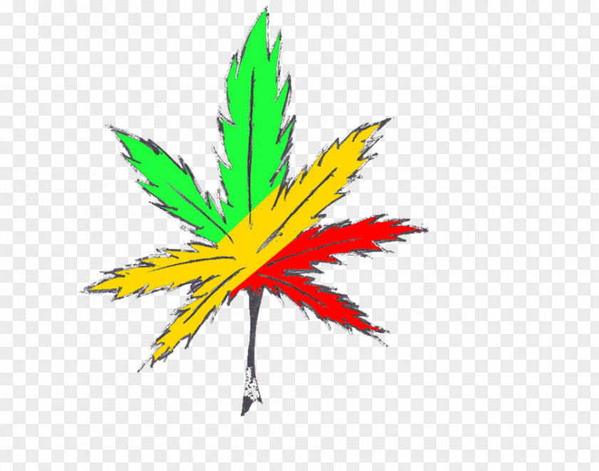 Cannabis Smoking Rastafari Drawing PNG