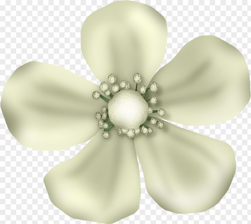 Jewellery Petal LiveInternet Flower PNG